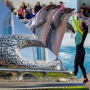 Future Museum + Dolphinarium Tickets