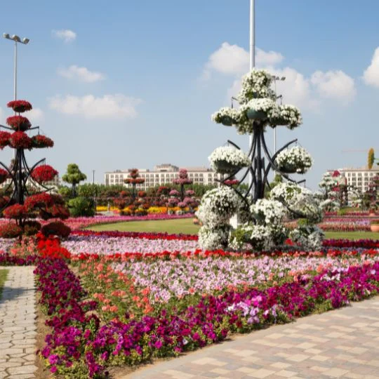 Dubai Miracle Garden