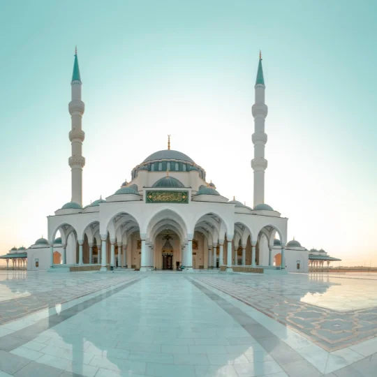 Dubai Tours Company Dubai Tours Company