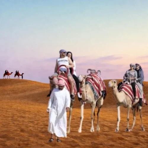 Evening Desert Safari with BBQ Dinner