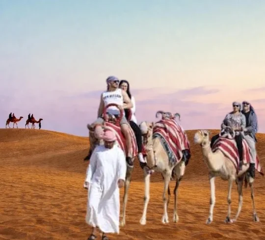 Evening Desert Safari with BBQ Dinner